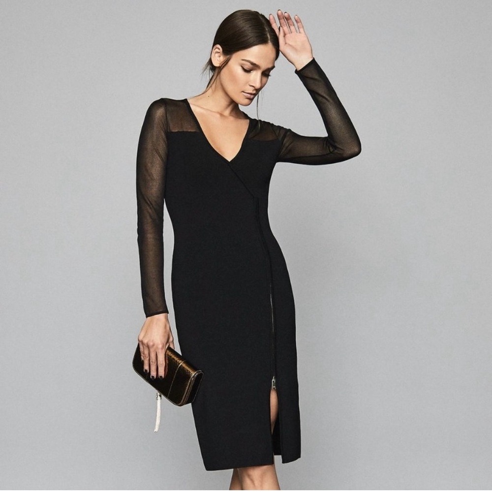 Beautiful Reiss Valencia Sheer dress